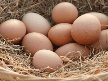 buy desi eggs in Kolkata