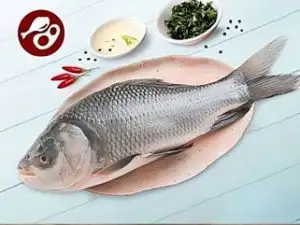 buy salmon fish online in kolkata  kolkata meat - delivering freshness