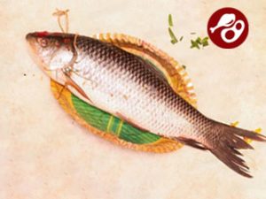 online fish delivery in kolkata