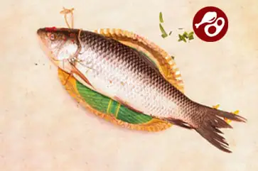 online fish delivery in kolkata