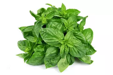 buy basil leave online in kolkata kolkata meat delivering